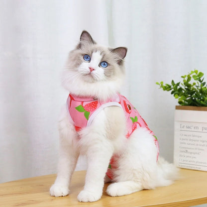 Cute Cartoon Print Overalls for Small Medium Dogs After Sterilization Dressing Surgery Pet Cat Outfit Soft Cotton Puppy T Shirts