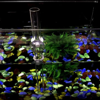1Pcs Acrylic Aquarium Feeder Tube Dish Transparent Fish Tank Shrimp Snail Shrimp Food Feeder Bowl Aquarium Feeding Accessories