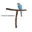 Natural Wood Pet Parrot Raw Wood Fork Tree Branch Stand Rack Squirrel Bird Hamster Branch Perches Chew Bite Toys Stick
