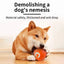 Smart Dog Toy Ball Electronic Interactive Pet Toy Moving Ball USB Automatic Moving Bouncing for Puppy Birthday Gift Cat Products