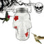 PET 14.8x11x9.5cm Skull Bird Feeder Halloween Garden Suspended Bird Feeder Three Water Dispenser Hummingbird Hole X2J5