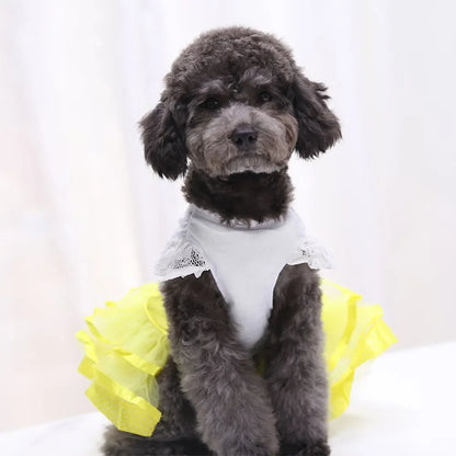 Cute Lace Princess Dog Tutu With Bow - Red, Yellow, Green