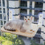 Folding cat hammock plush mesh cat window wall jumping platform double suction cup cat hammock