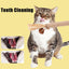 Silvervine Sticks For Cats Catnip Molar Rod With Bell For Indoor Cats Edible Interactive Cat Nip Ball Teethers With Raffia Sisal