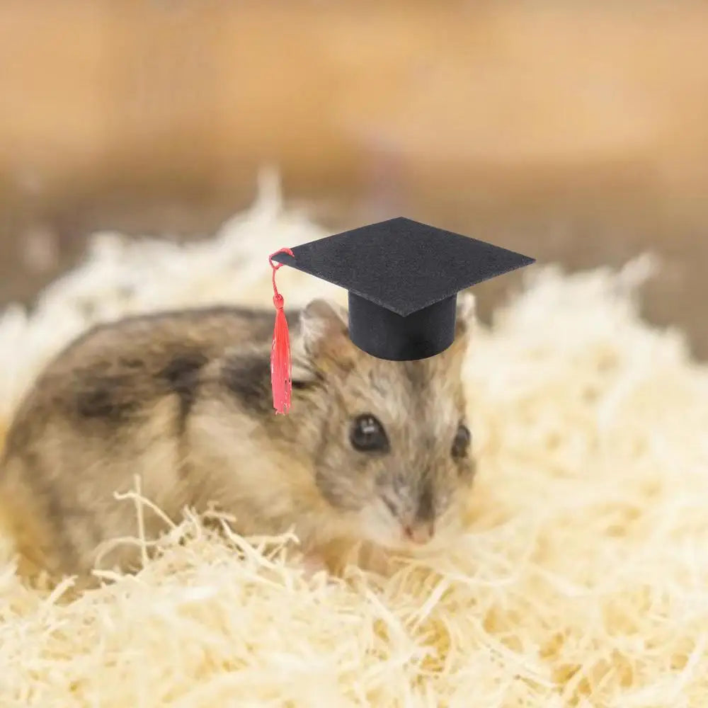 Pet Doctor Hat Pet Graduation Costume Hat Dog Graduation Hats With Red Tassel Hamster Graduation Costume Hat For Dogs Cats