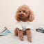 Cute Bow Dog Vest 2024 Dog Clothes Puppy Pullover Summer Pet Clothes Breathable Two-Legged Clothes Solid Color Cat Pet Products