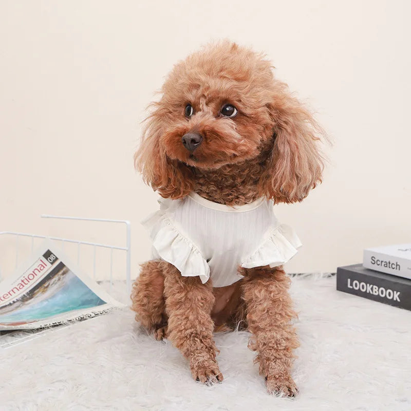 Cute Bow Dog Vest 2024 Dog Clothes Puppy Pullover Summer Pet Clothes Breathable Two-Legged Clothes Solid Color Cat Pet Products