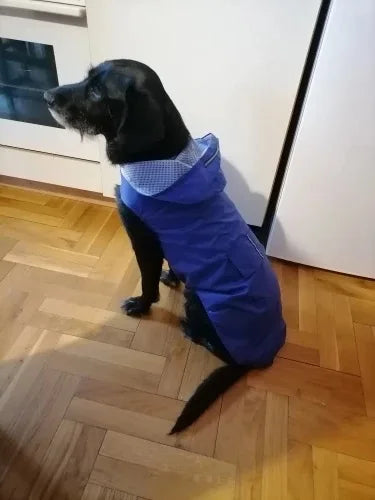 Big dog raincoat reflective waterproof windproof hooded raincoat large dog clothing outdoor raincoat  dog clothing jacket