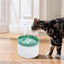 Automatic Pet Water Dispenser Auto Water Bowl For Pet Cats Pet Water Feeding Kitten Pets Dog Puppy Water Feeder Supplies
