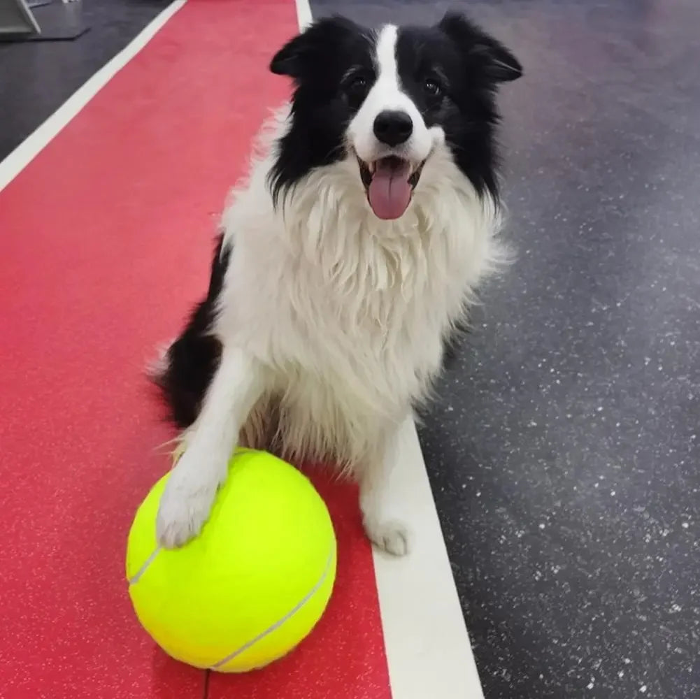 Giant Tennis Ball For Dog Chew Toy Pet Dog Interactive Toys Big Inflatable Tennis Ball Pet Supplies Outdoor Cricket Dog Toy