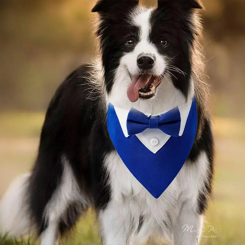 Dog Wedding Bandana Collar Dog Collar Bow Tie Breathable Dog Tuxedo Adjustable Neck Scarf for Weddings Parties Birthdays