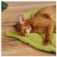 Kitten Bed Cats All Things Pet Accessory Houses House Products Beds Accessories Dog Mat Supplies Cushions Habitats Basket Puppy