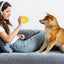 Dog Foraging Toys Pet Teething Foraging Squeaky Toy Interactive Chewing Toys For Indoor Dogs Puppy Reducing Boredom For Bedroom
