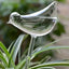 2pc Plant Waterer Self Watering Sphere, Bird shaped Hand Blowed  Plastic Transparent Water Beads