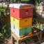 HDPE Langstroth 3 Layer 10 Frame Beehive Thermal Plastic Insulated Bee Hives