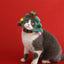 Pet Christmas Hat for Small Dog Cosplay Accessories Soft Plush Cartoon Snowman Cat Head Wear Winter New Year French Bulldog Caps