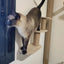 Cat Tree Wall Mounted Cat Shelves Scratching Post for Cat Jumping Platform and Cat Hammock Rope Ladder Wall Wooden Furniture