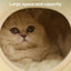 Beds Cats Warm Bed Fluffy Cushions for Winter Houses Plush Goods Pet Supplies House Kitten Basket Puppy Accessories Habitats Dog
