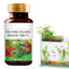 Fish Tank Cleaner Water Purifier And Algae Remover Water Purifier For Freshwater Aquariums Algae Remover For Freshwater