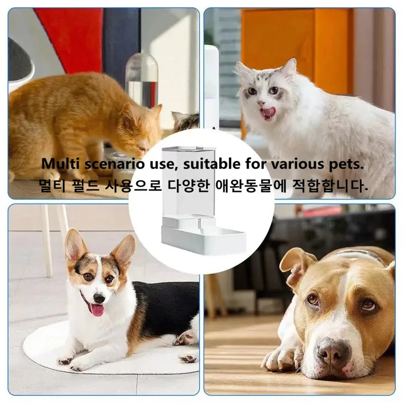 Pet Feed Dispenser Cat Dog Bowl Automatic Feeder Pet Accessories Dog Feeder Automatic Feeding Water Bowl Transparent Pet Storage