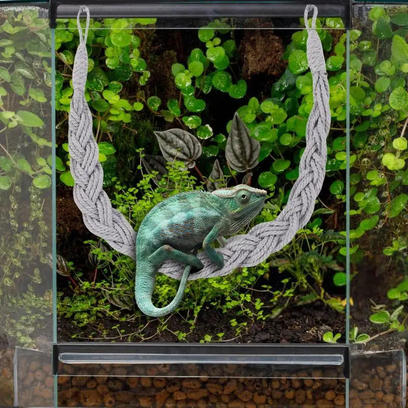 Hermit Crab Toys Hermit Crab Toys Reptile Tank Terrarium Accessories Reptile Tank Terrarium Accessories Hermit Crab Climbing