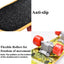 Turtle Feeding Ball Fruit Vegetable Holder with Training Skateboard 2 Treat Balls Turtle Enrichment Toys for Tortoise Turtle