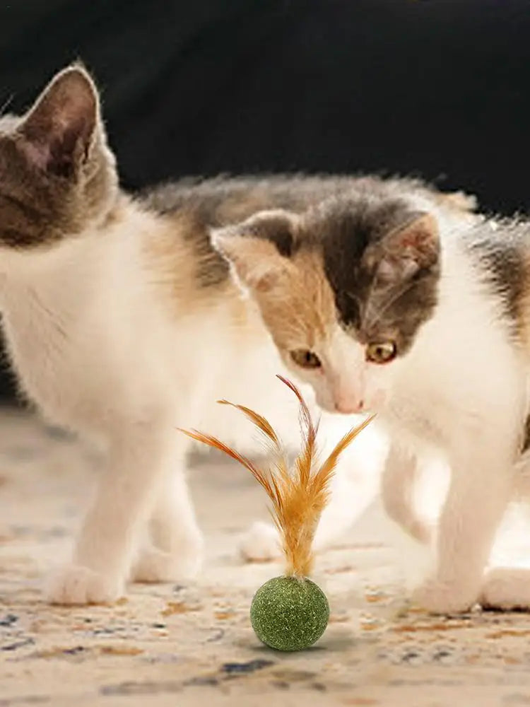 Catnip Ball Feather Cat Toy Ball Feather Cat Tooth Cleaning Cat Toy Catnip Ball Interactive Chew Catnip Pet Supplies