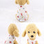 Pet Clothing Summer Sunscreen Cool Breathable Dog Vest Mesh Small Dog T-Shirt Outfit For Chihuahua Small Medium Dogs Accessories