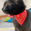 Small Dog Cat Bandana Collar Adjustable Puppy Dog Kitten Neckerchief PU Collar with Printed Triangular Scarf Pet Collar for Cat