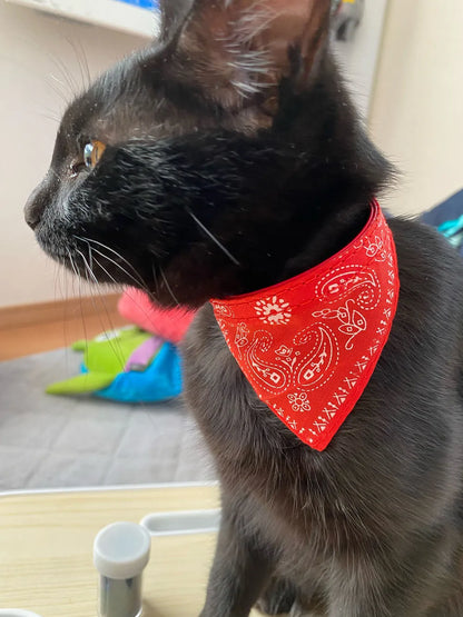 Small Dog Cat Bandana Collar Adjustable Puppy Dog Kitten Neckerchief PU Collar with Printed Triangular Scarf Pet Collar for Cat