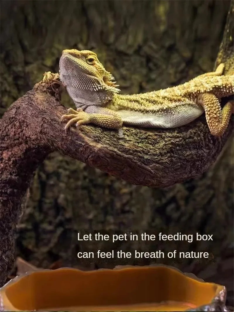 Climbing Pet Climbing Wooden Landscape Tree Vine Natural Dead Wood Crawler Rainforest Tank Tree Frog Crossing River Dragon Vine