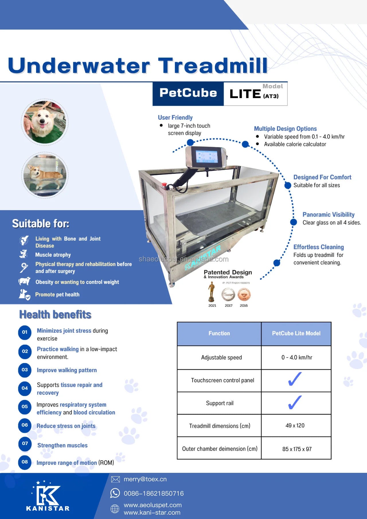 Dogs Hydrotherapy Pet Training Rehabilitation Underwater Treadmill High Quality Dog Training Equipment Water Treadmill
