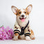Luxury Dog Sweater Pet Cardigan Striped Knitted Dog Coat Chihuahua Warm Clothes Winter Jackets for Dog Bichon Dog Accessories