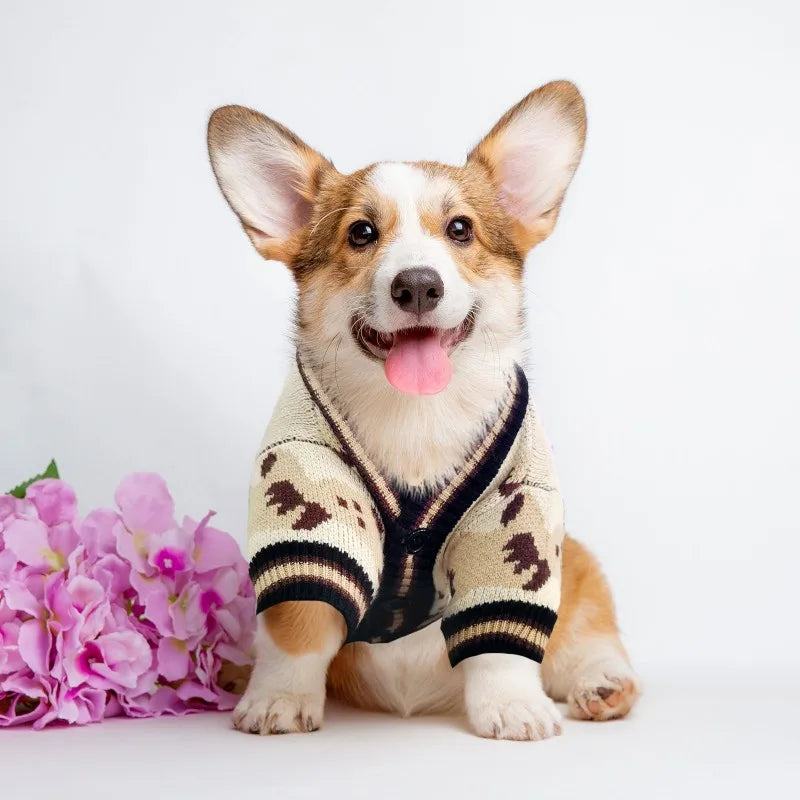 Luxury Dog Sweater Pet Cardigan Striped Knitted Dog Coat Chihuahua Warm Clothes Winter Jackets for Dog Bichon Dog Accessories