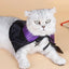Pet Dog Cat Witch Hat Bandana Cosplay Prop Halloween Fancy Dress Costume Outfit Cat Costumes Photo Props Headwear