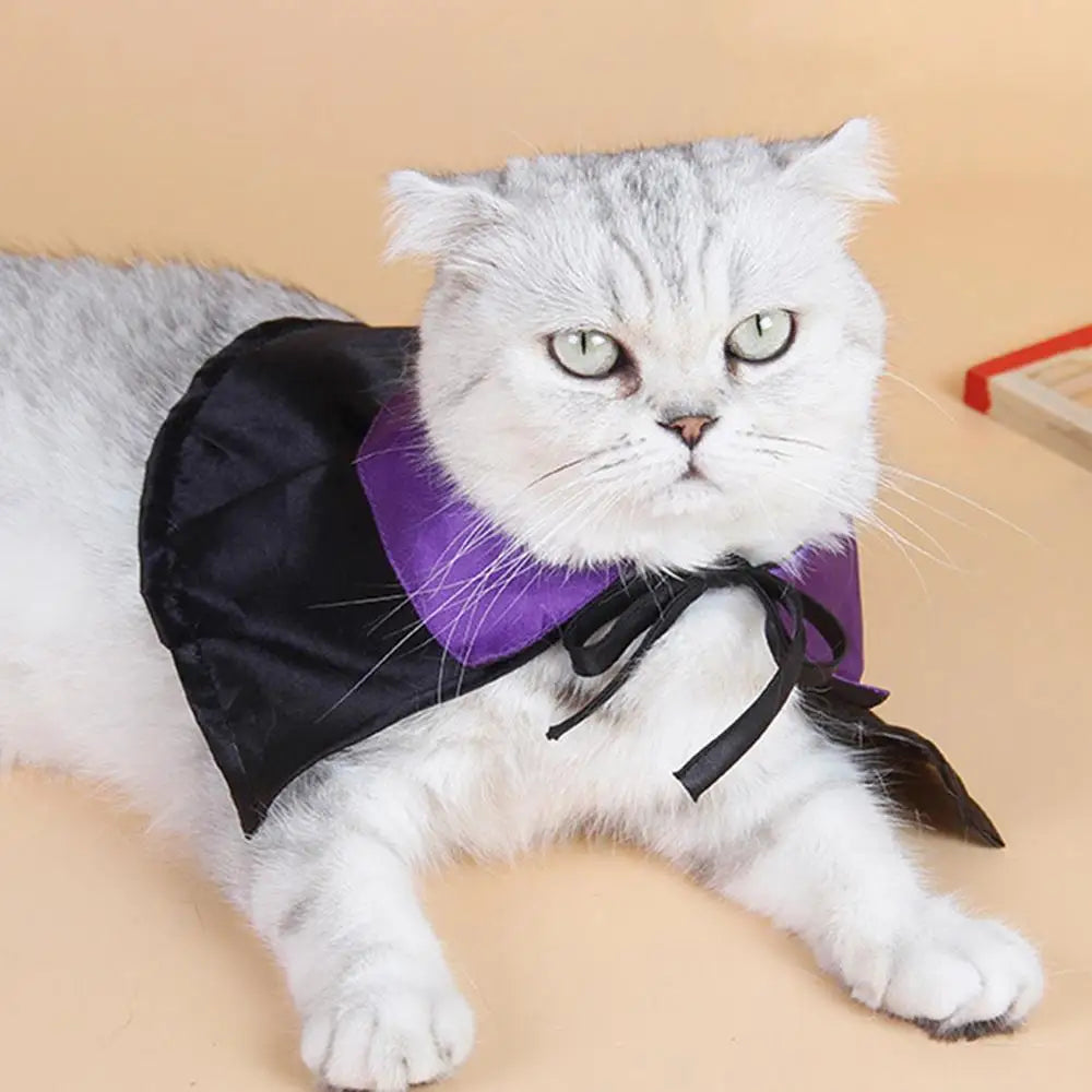 Pet Dog Cat Witch Hat Bandana Cosplay Prop Halloween Fancy Dress Costume Outfit Cat Costumes Photo Props Headwear