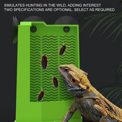 Gecko Food Bowl Reptile Feeding Bowls Reptile Dish Suction Cup Gecko Food Dish Reptile Bowl Terrarium Feeding Dish Anti-Escape