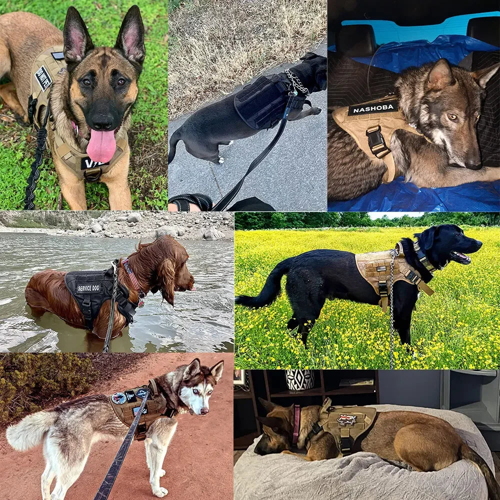 Large Dog Harness Collar Leash Molle Pouch Tactical Patches No-Pull Service Dog Harness Set for Small Medium Dog Training