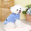 Soft Fleece Solid Color Dog Winter Warm Dog Clothes for Small Dogs Puppy Cat Jacket Chihuahua Tshirt Yorkie Costume Pet Clothing