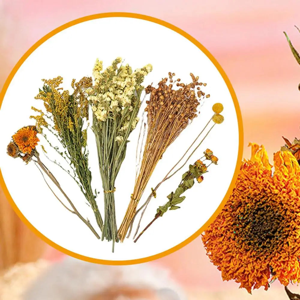 Flower And Plant Bedding Hamster Deodorizing Bedding Golden Bear Nest Landscaping Supplies Dried Flowers