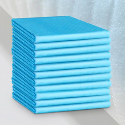10pcs Dog Training Pee Pads Super Absorbent Puppy Dog Diaper Disposable Healthy Clean Nappy Mat for Pets Dairy Diaper Supplies
