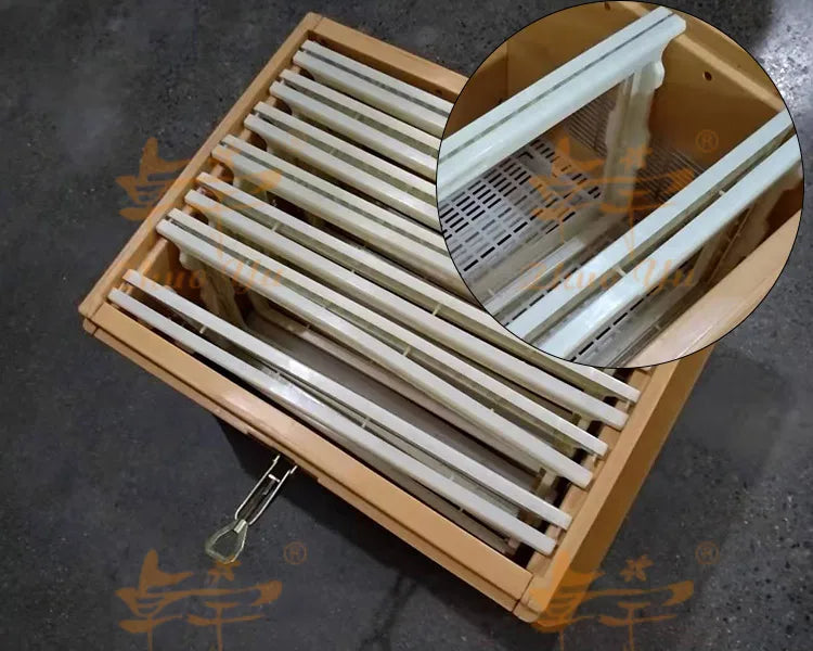 Beekeeping Equipment Plastic Polystyrene  Bee Hives Langstroth Plastic Beehive For Apis Mellifera
