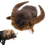 Funny Horn Headgear Pet Hat Headwear Wig Pet Dog Cat Halloween Clothes Pet Dog Accessories For Large Dogs Pet Supplies