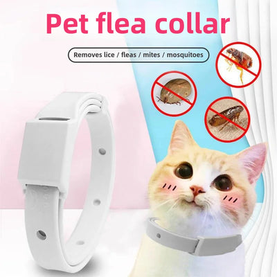 Pet collar, kitten flea collar, pet external deworming ring, flea ring