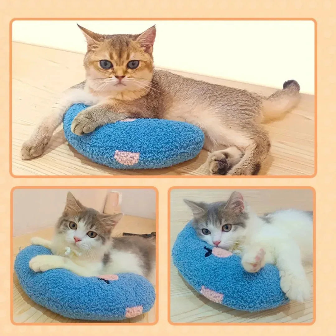 Cats Accessories Beds Dog Bed Houses and Habitats House Basket All Pet Products Mat Accessory Puppy Kitten Goods Things