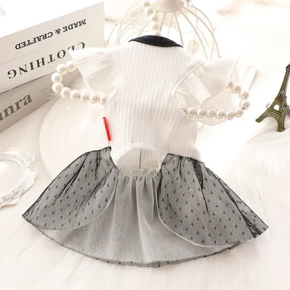 Dog Princess Dress Summer Dog Clothes for Small Dogs Pet T-Shirt Black Lace Retro Puppy Skirt Chihuahua Bichon Girls Dog Costume