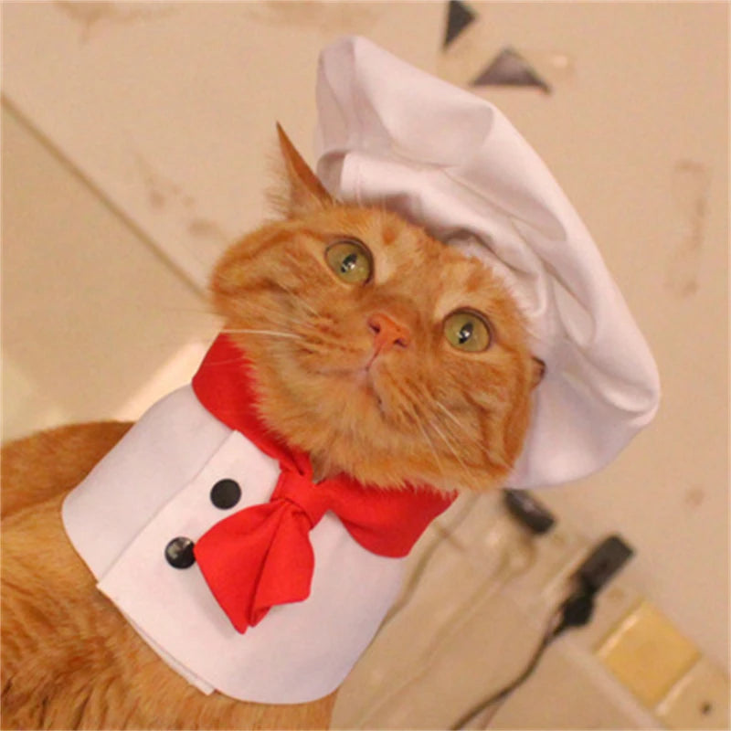 Halloween Chef Suit Pet Dog Clothes French Bulldog Cosplay New Year Pet Accessories Cute Gift Medium Costume Puppy Hat Collar