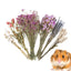 Flower And Plant Bedding Hamster Deodorizing Bedding Golden Bear Nest Landscaping Supplies Dried Flowers