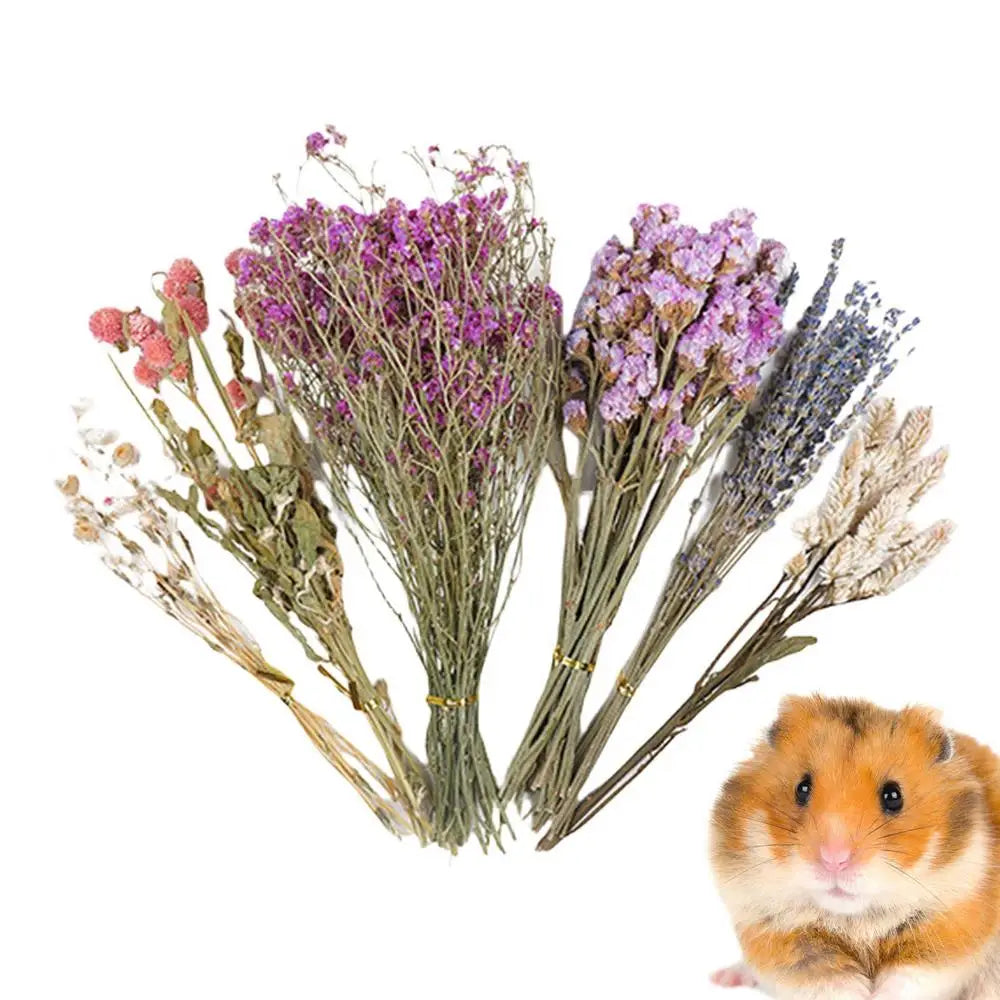 Flower And Plant Bedding Hamster Deodorizing Bedding Golden Bear Nest Landscaping Supplies Dried Flowers