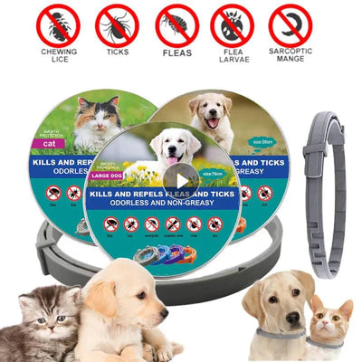 Dog Anti Flea And Ticks Cats Collar Pet 8Month Protection Retractable Pet Collars For Puppy Cat Large Dogs Accessories